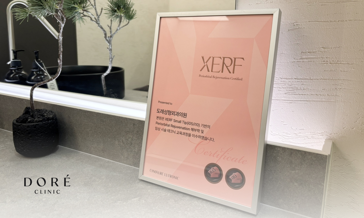 xerf re20 seoul clinic 04